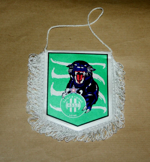 Football. Les associés supporters des Verts élisent leur onze de cœur
