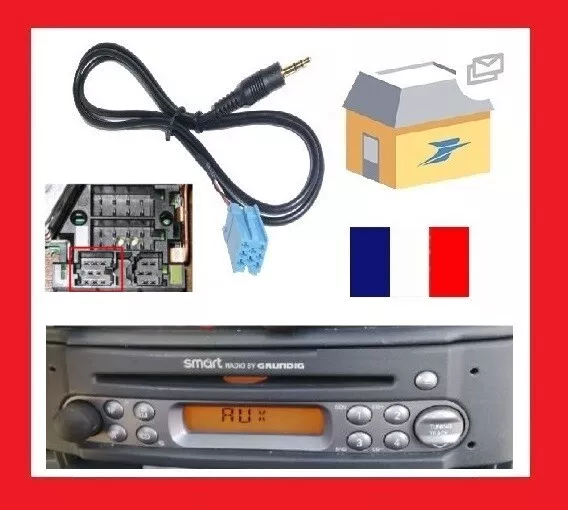 Auxiliary Cable Smart 450 - Dispatch de France Followed By