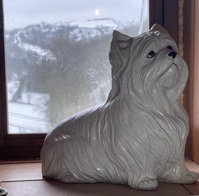 Statuette Außergew Terrakotta Glasiert Hund Biewer Terrier Großartige