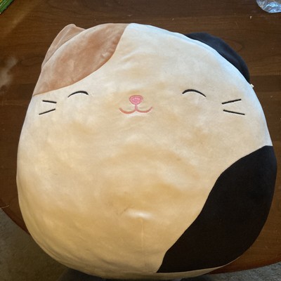 squishmallow cameron 16