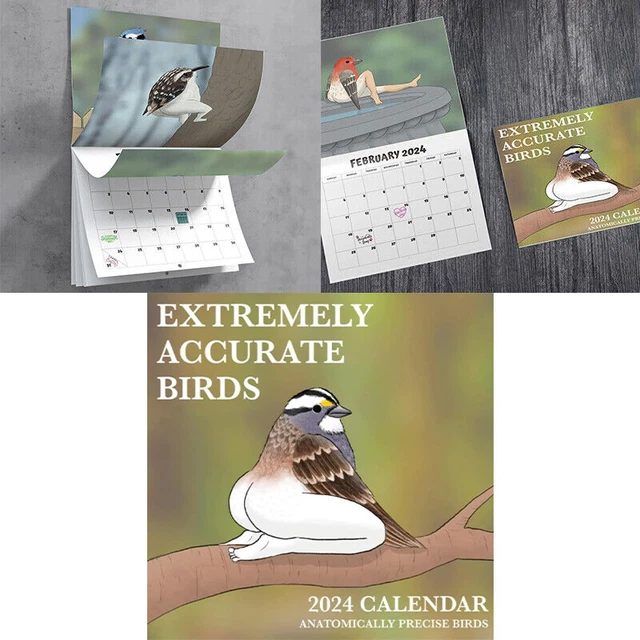 2024 CALENDAR OF EXTREMELY ACCURATE BIRDS 2024 Bird Calendar Wall ...
