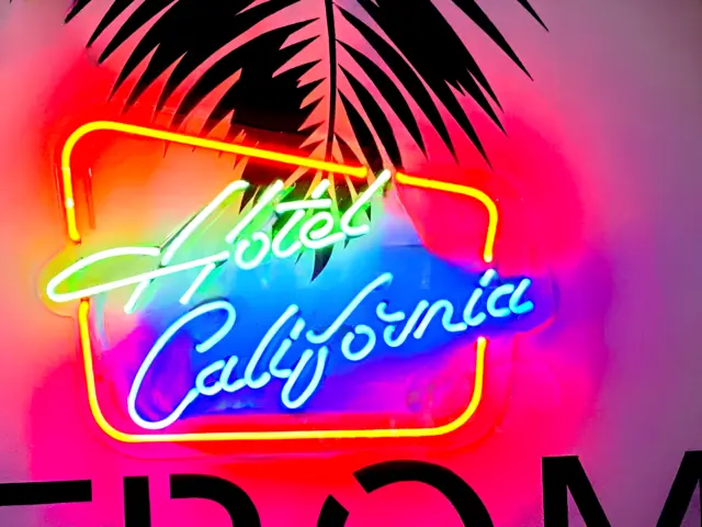 Hotel California Acrylic 17"x14" Neon Light Sign Lamp Wall Decor Party Club Bar