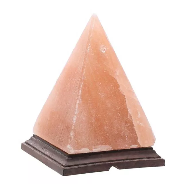 Himalayan Pink Salt Lamp + 12W 12V Switch - Carved Shape Natural Crystal Rock 2
