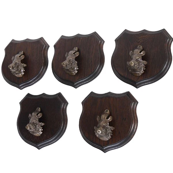5x Wappenschilder Jabalí Af 17cm Escudo de Trofeo Jabalí Cabeza Portada Grande