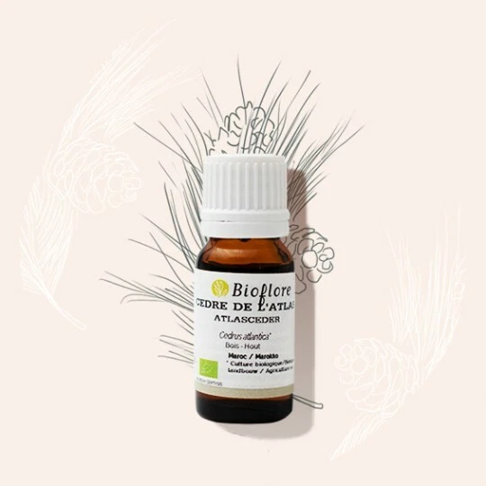 Huile Essentielle Bois de Cèdre Bio 5ml | Distillerie U Mandriolu main image 1