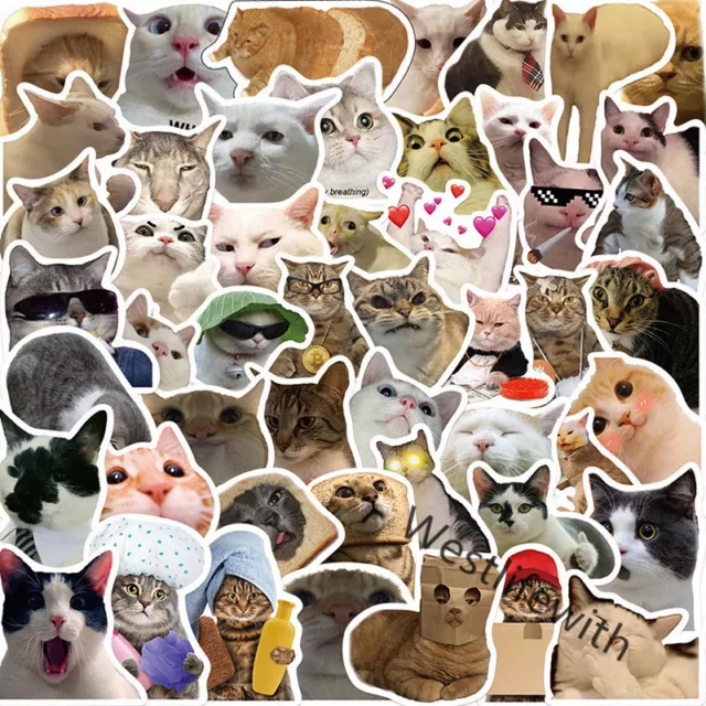 50Pcs Cute Cat Stickers Bulk Kawaii For Kids Water Bottle Cars Adults  Laptop