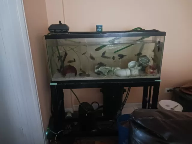 55 Gallon Aqueon Complete Setup