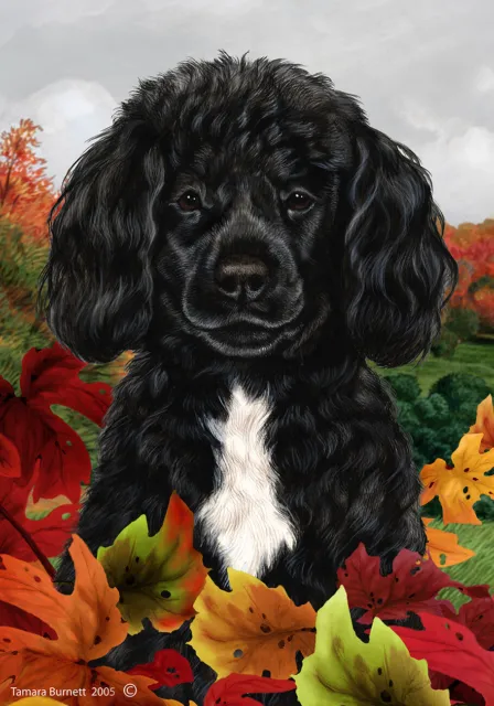 Fall Garden Flag (TB) - Black and White Portuguese Water Dog 134891