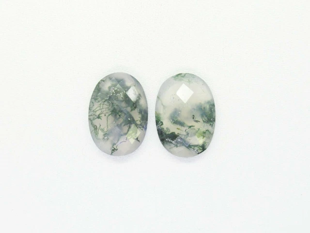 Forme ovale de pierre gemme d'agate de mousse naturelle cabochons à...