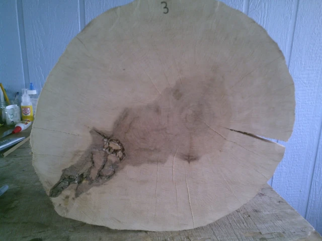 Ojo de pájaro Madera de Arce Borde Vivo Galleta EPOXI Resina Artesanal Madera