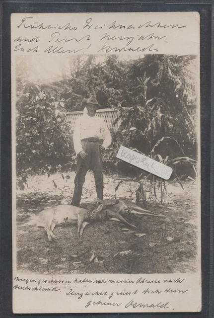 Mexiko  , El Cura   , Jagd , Jäger , Rehe ,   , alte Fotokarte  gest. 1913