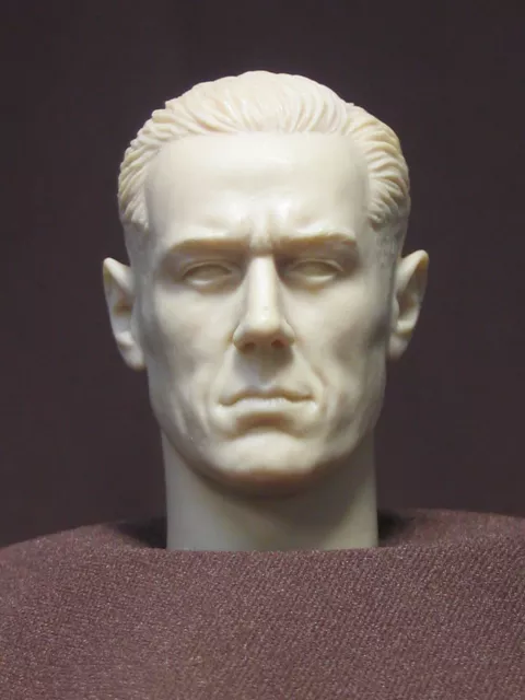 DM-41  CUSTOM RESIN UNPAINTED  HEAD SCULPT Action figures 1/6 Scale