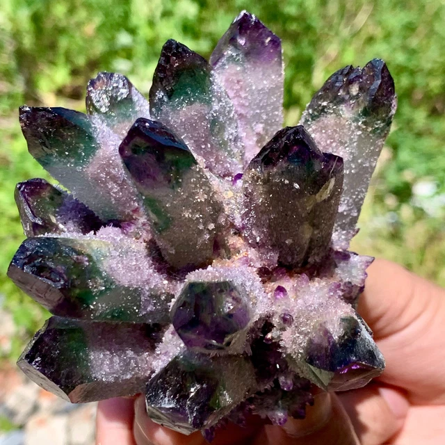 405G New Find PURPLE PhantomQuartz Crystal Cluster MineralSpecimen