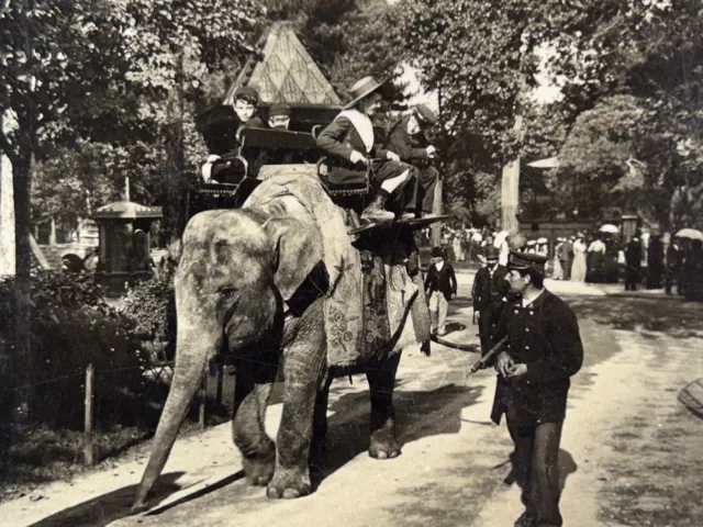 FRANCE Paris Jardin d’Acclimatation c1905 Photo Stereo Vintage Argentique