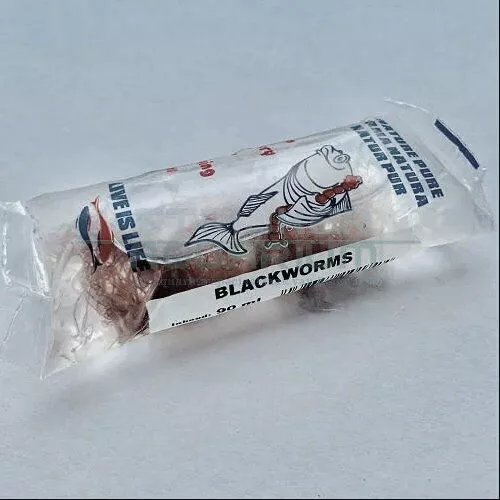 Live Black Worms 90 ml Bag