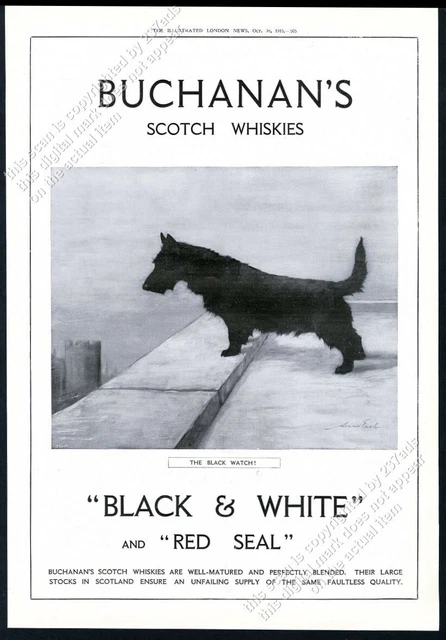1915 Scottie Scottish Terrier Maud Earl art B&W Scotch BIG UK vintage print ad