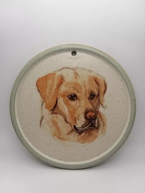 🐞purbeck pottery Wall Hanging Of Labrador Dog🐞