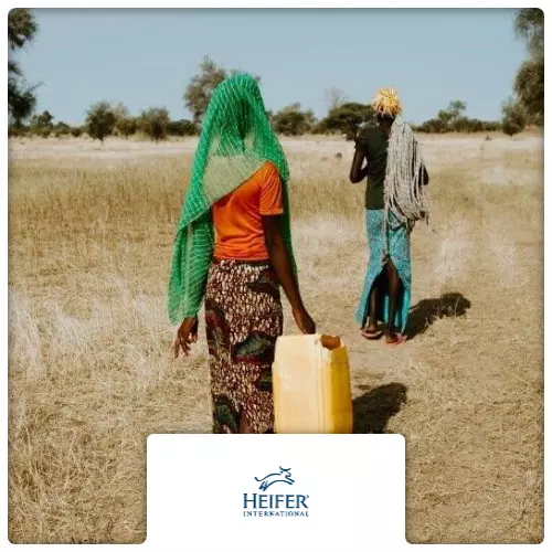 $750 Charitable Donation For: WATER FOR LIFE