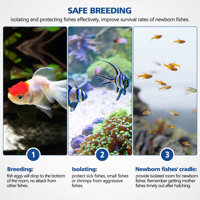 Betta Fischhängematte - Schwimmendes Bett Für Aquarium Fische