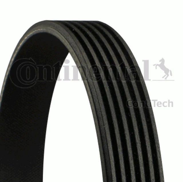 Cinghia trapezoidale CONTINENTAL CTAM 6PK2563 per PEUGEOT 4007 16V CITROËN CROSSER 8