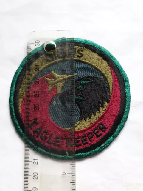 US Air Force 318th FIS Fighter Interceptor Squadron Eagle Keeper Patch USAF 3