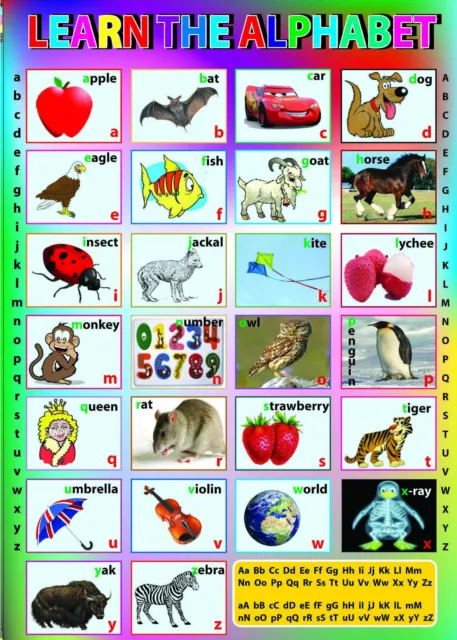 English Alphabet ABC large A2 laminated kids children wall educational Poster