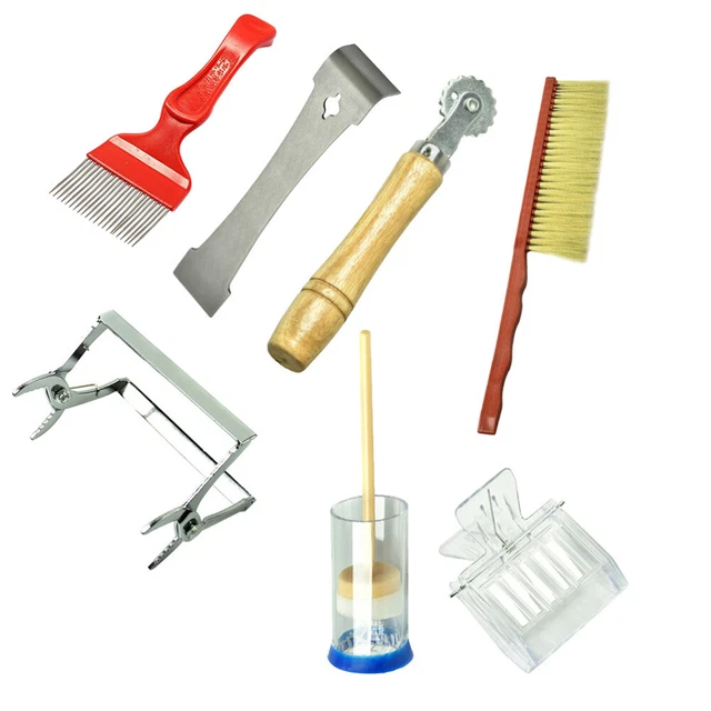 Kit 7 pz strumenti per apicoltura in acciaio inox oggetti di scena apicoltura