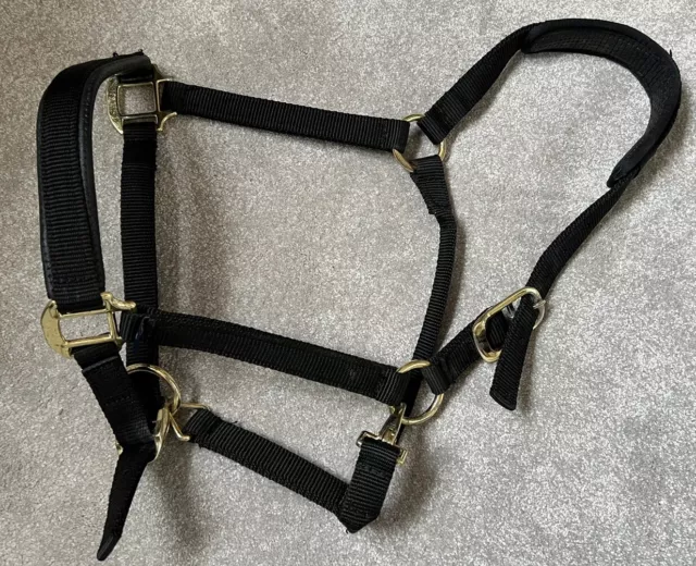 Shires Topaz Nylon Headcollar Black Full Size