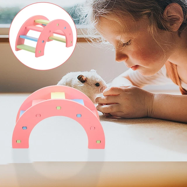 GERBILS PLASTIC CLIMBING Bridge Hamster Training Ladder Guinea Pig ...