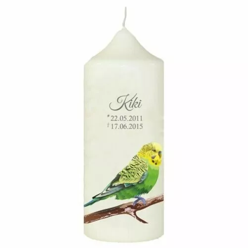 Vela de Cera para Animales Grüner Pájaro