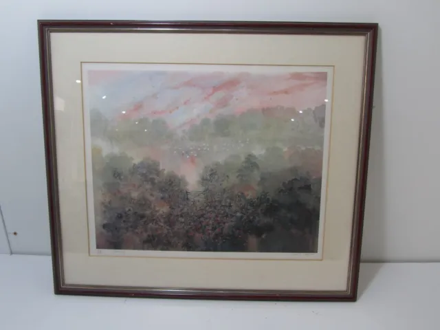 Janet Rogers Gateway Signed Limited Edition Print 228/500 Framed Under Glass