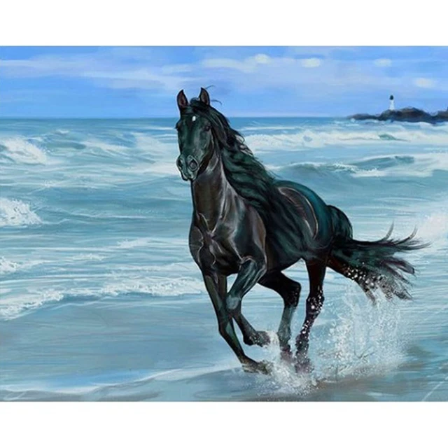 Kits de pintura al óleo de caballo junto al mar por números lona imagen regalo para adultos niños
