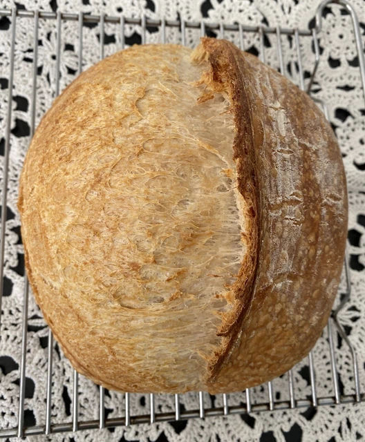 San Francisco Tartine cultura pasta naturale biologica - 100 anni per pane artistico