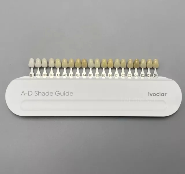 10X Dental Porcelain Teeth 3D Board Ivoclar Vivadent IPS Shade Guide Porcelain