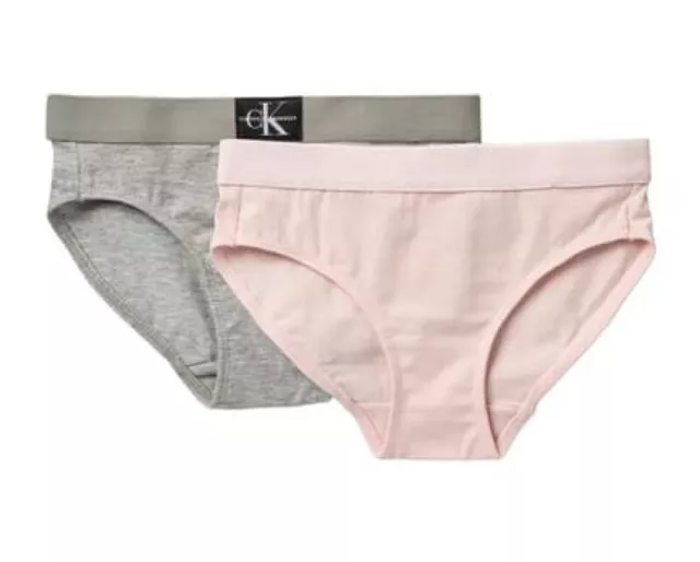Hanna Andersson Girls Hipster Unders Disney Princess XS 80 90 2t 3t  Underwear