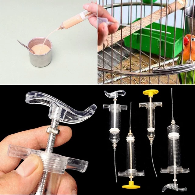 Seringue d'alimentation Tétine d'alimentation Mangeoires d'oiseaux perroquet