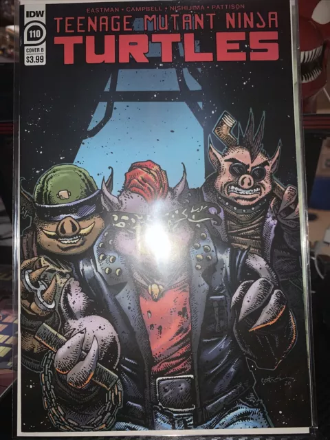 TMNT #110 Cvr B IDW Comics 2020 Teenage Mutant Ninja Turtles 110B Last Ronin