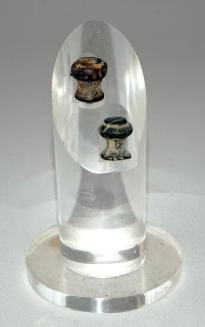 Thai Ayutthaya Period Molded Lead Ear Plugs on Acrylic Stand (Mil) #219