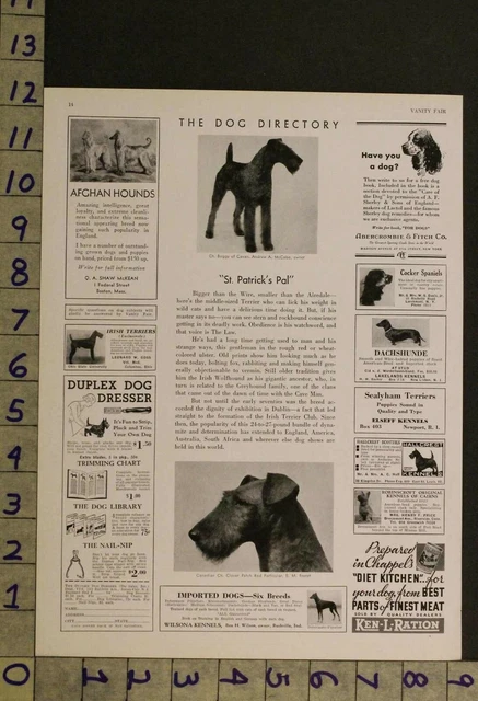 1934 Dog Canine Irish Terrier St Patrick Breeder 2-Page Photo Ad Ru45