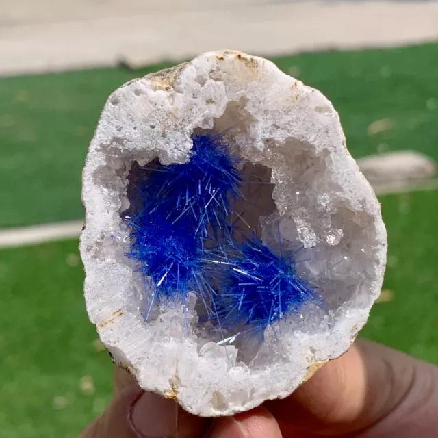 88G Rare Moroccan blue magnesite and quartz crystal coexisting specimen