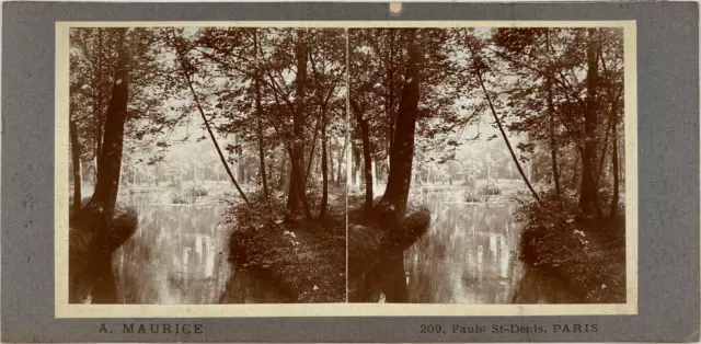 France, Paris, Parc Monceau Vintage stereo card,A. Maurice Tirage citrate