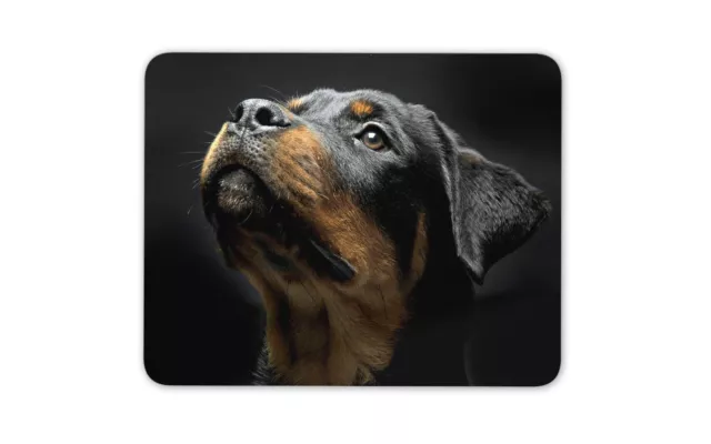 Beautiful Rottweiler Mouse Mat Pad - Dog Puppy Rottie Fun Gift Computer #8616