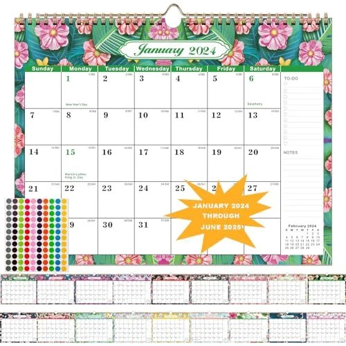 WALL CALENDAR 20242025,CALENDAR January 2024 June 2025,18 Months red
