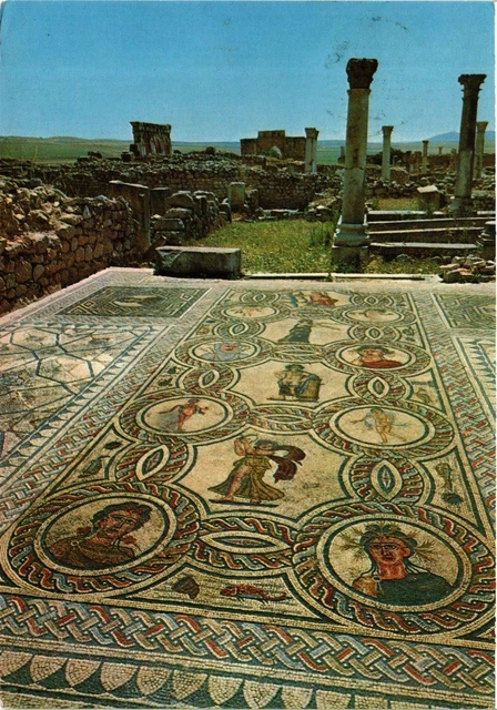 CPM AK Volubilis - Mosaic of the House of Orphee MOROCCO (881125)