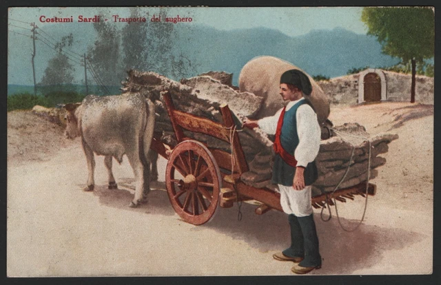 CARTOLINA ILLUSTRATA - Costumi Sardi, Trasporto del Sughero - (5027)