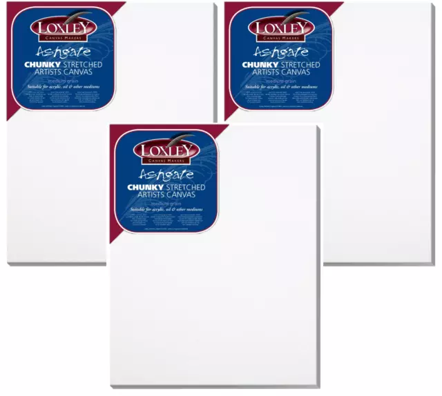 3 x A4 Loxley Deep Edge gestreckt Canvas grundiert Baumwolle Rohling Box klobig ACCA4