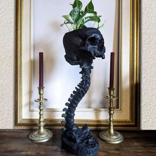 Nemesis Now Cranial Drakos - Teschio Di Drago Inciso In Poliresina Con Cappello A Cilindro - Ornamento Gotico