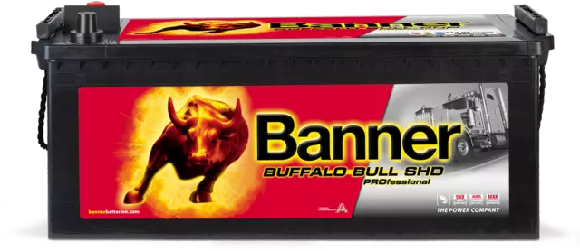 LKW Batterie 180Ah für DAF MB MAN 12V 1000A Banner Buffalo Bull SHD PRO 68008