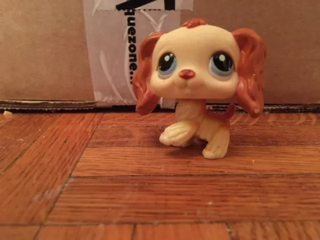 Littlest Pet Shop LPS #298 Cream Brown Cocker Spaniel Blue Eyes Authentic