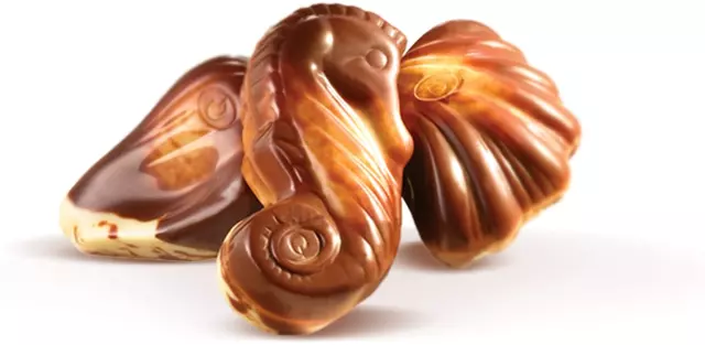 Guylian Belgian Chocolate Sea Shells white gift box - 500g net weight 3